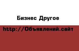 Бизнес Другое